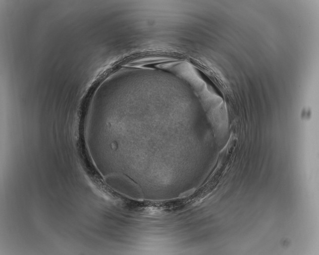 X0000096190496200802011410