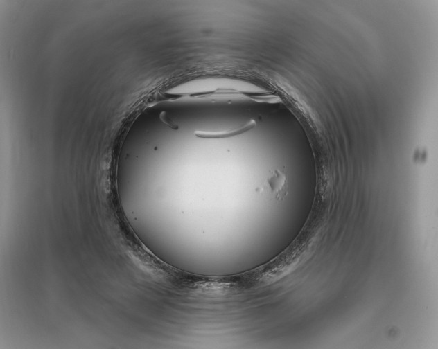 X0000096190497200802011410