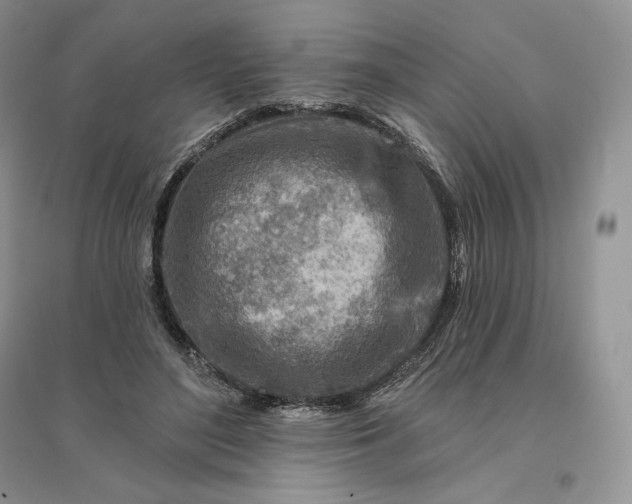 X0000096190500200802011410