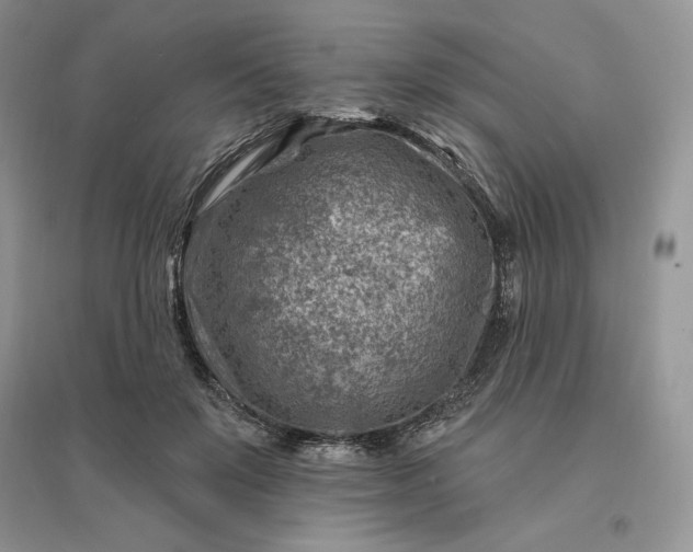 X0000096190503200802011410