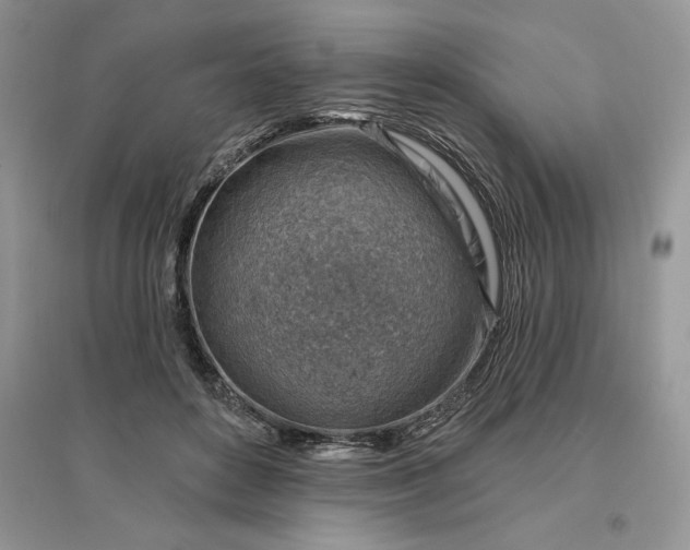 X0000096190504200802011410