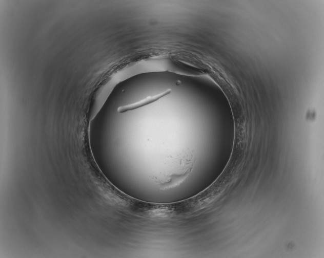 X0000096190505200802011410