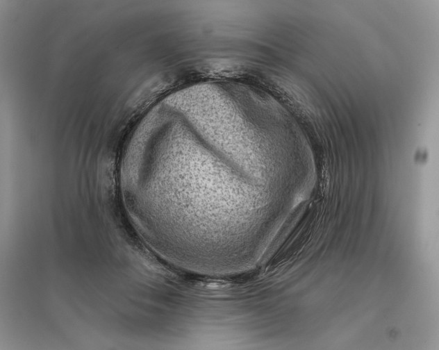 X0000096190506200802011410