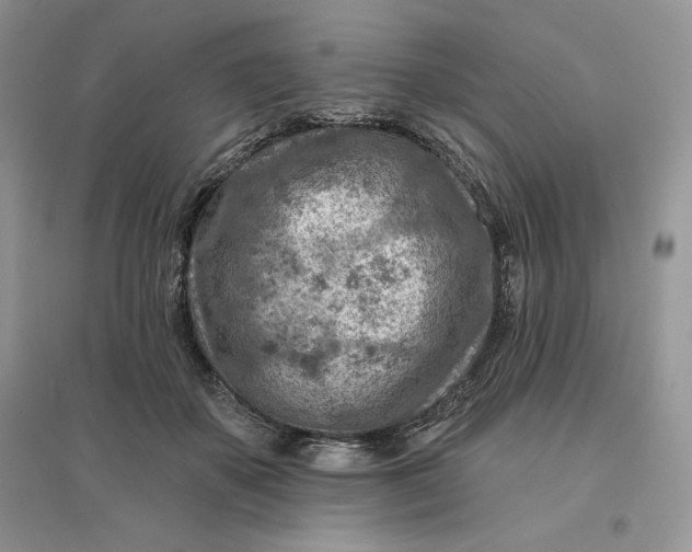 X0000096190507200802011410