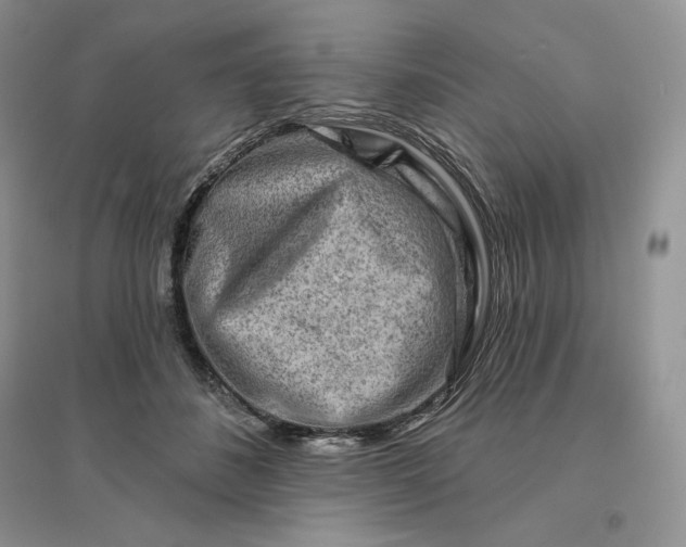 X0000096190508200802011410