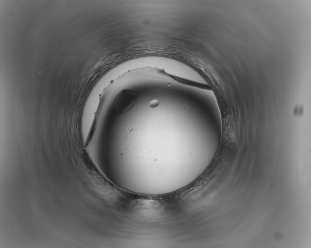 X0000096190509200802011410