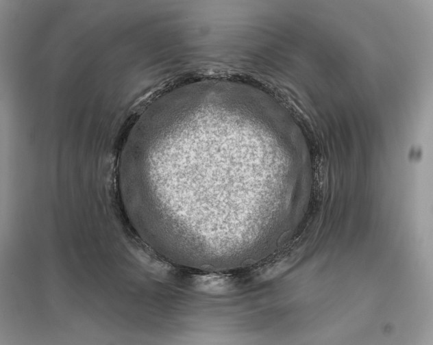 X0000096190511200802011410