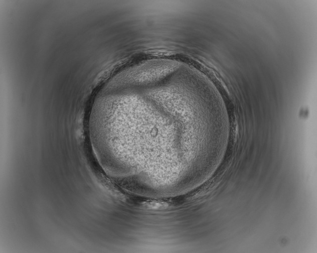 X0000096190512200802011410