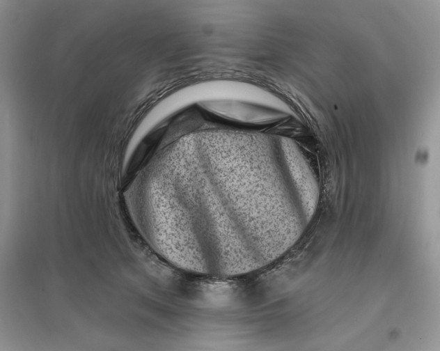 X0000096190513200802011410