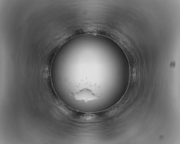 X0000096190514200802011410