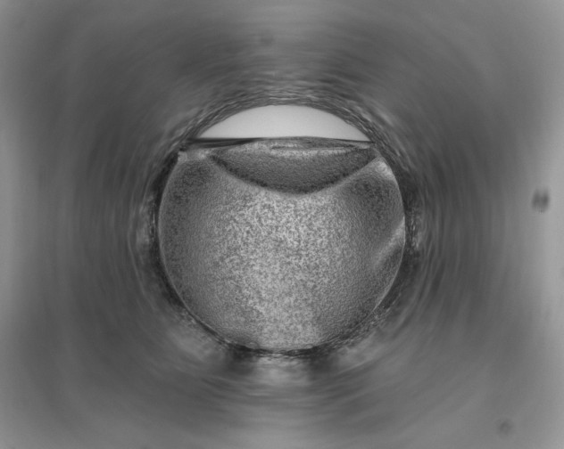 X0000096190515200802011410