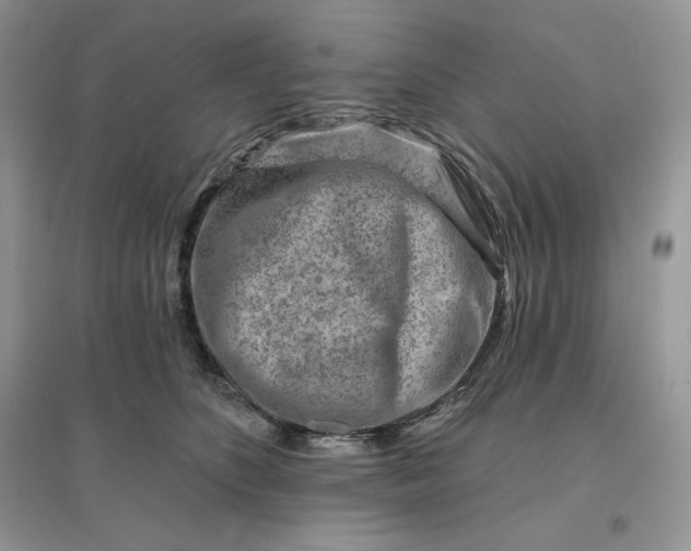 X0000096190516200802011410