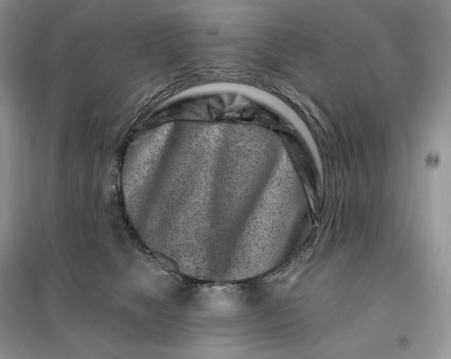 X0000096190517200802011410