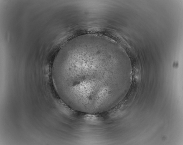 X0000096190519200802011410