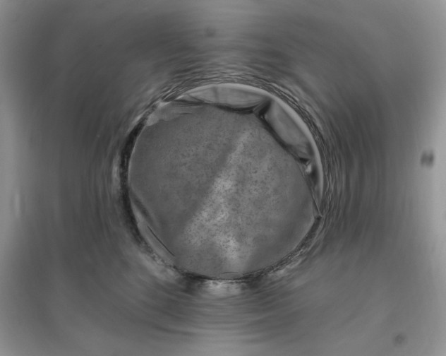 X0000096190520200802011410