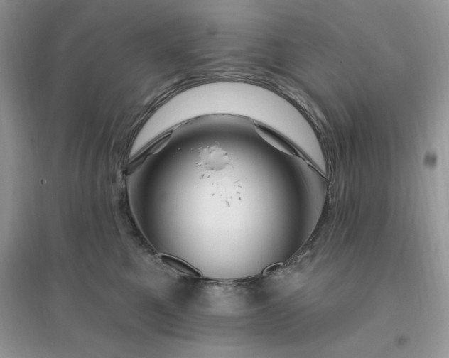 X0000096190521200802011410