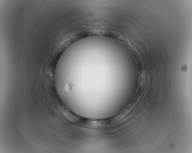 X0000096190522200802011410