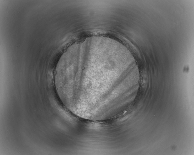 X0000096190523200802011410