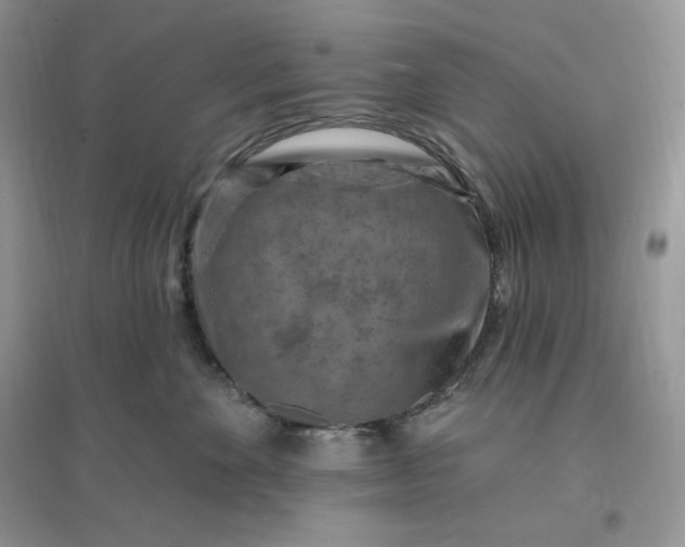 X0000096190524200802011410