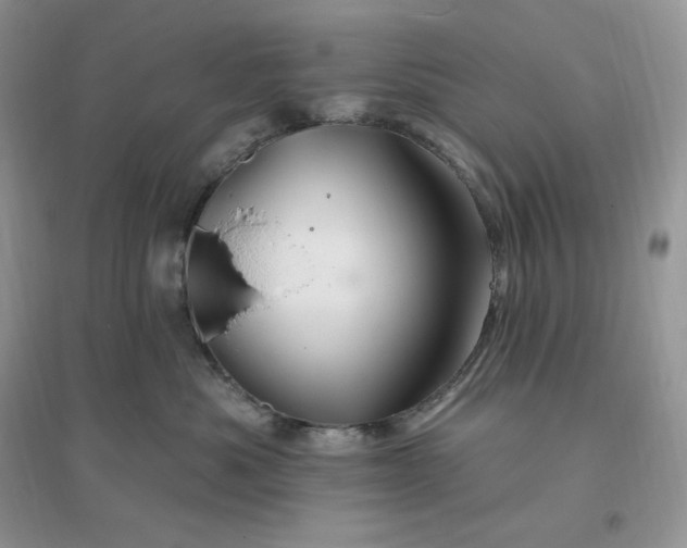 X0000096190525200802011410