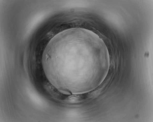 X0000096190526200802011410