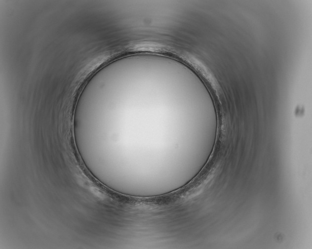 X0000096190529200802011409