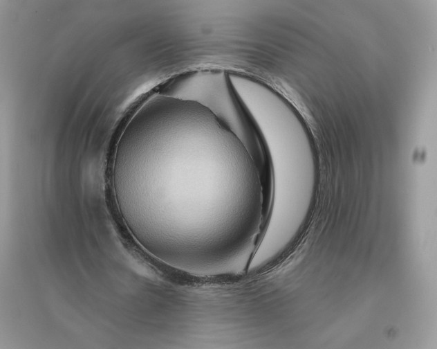 X0000096190530200802011409