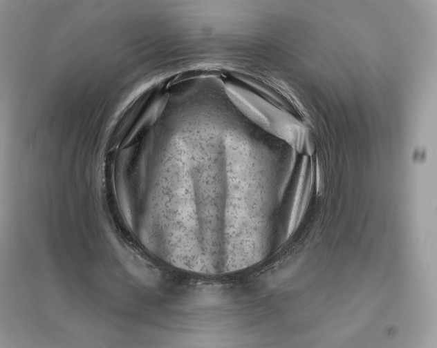 X0000096190531200802011409