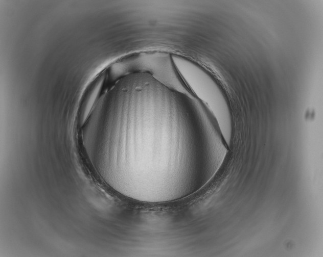 X0000096190532200802011409