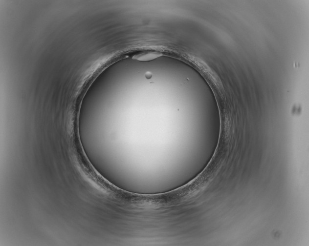 X0000096190533200802011409