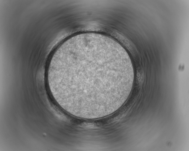 X0000096190534200802011409