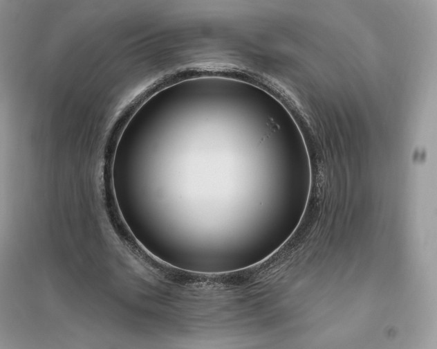 X0000096190535200802011409