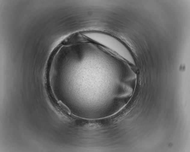 X0000096190536200802011409