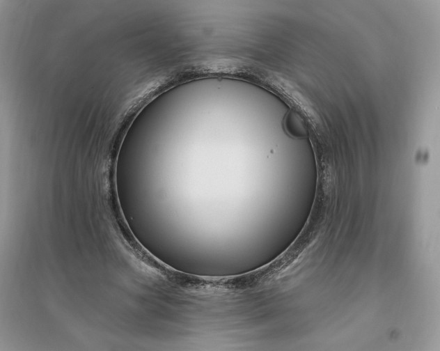 X0000096190537200802011409