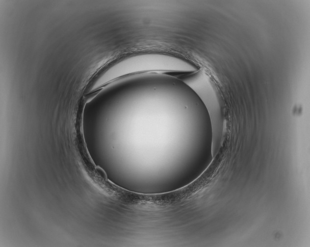 X0000096190538200802011409