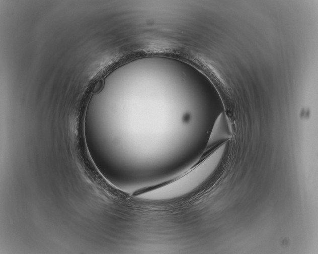 X0000096190539200802011409