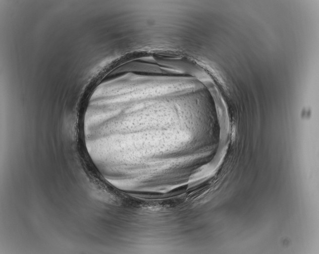 X0000096190540200802011409