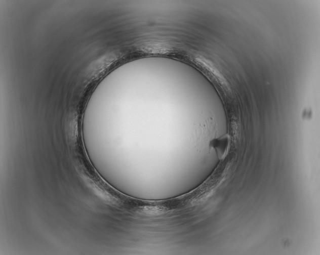 X0000096190541200802011409