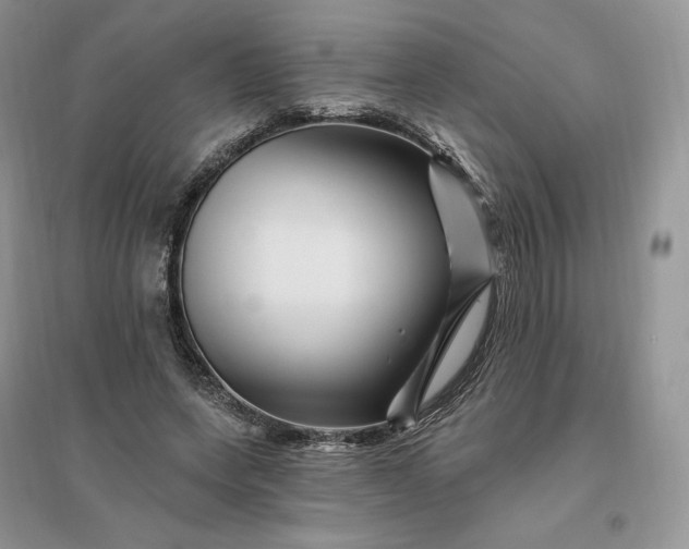 X0000096190543200802011409