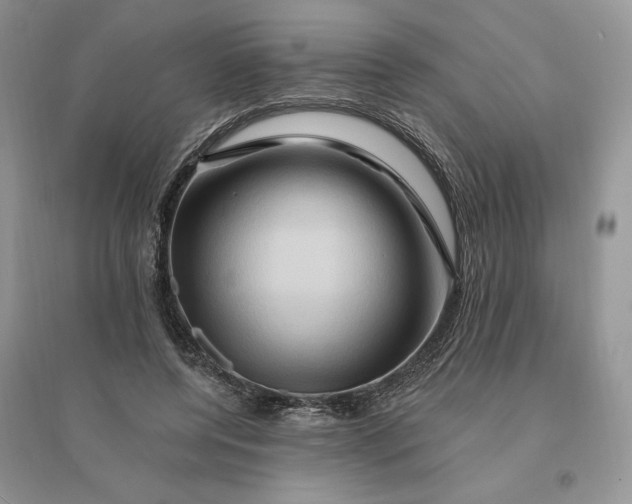 X0000096190544200802011409