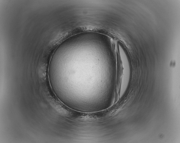 X0000096190545200802011409