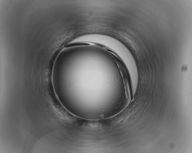 X0000096190546200802011409