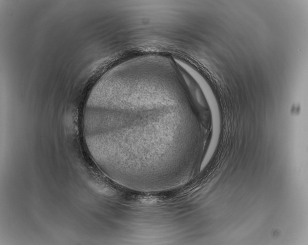 X0000096190547200802011409