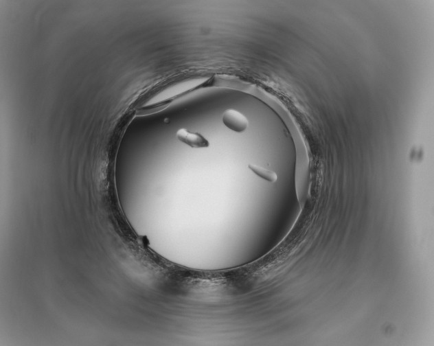 X0000096190548200802011409