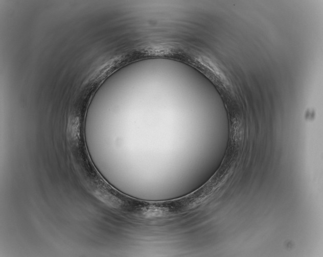 X0000096190549200802011409