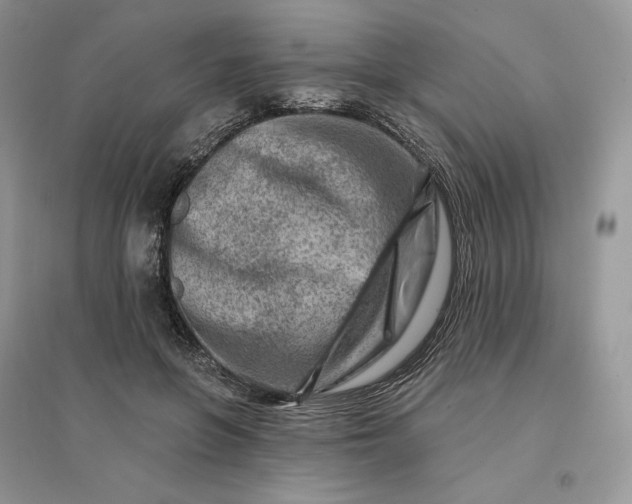 X0000096190551200802011409