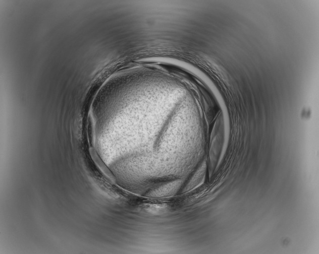 X0000096190552200802011409