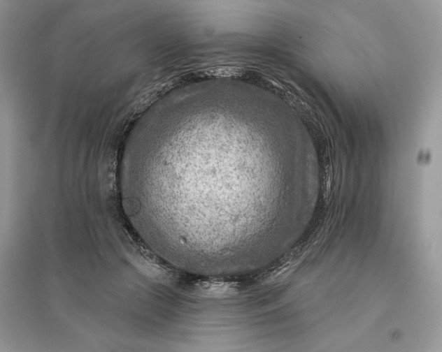 X0000096190553200802011409