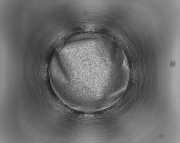 X0000096190554200802011409