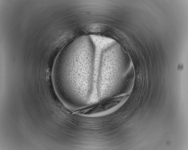 X0000096190555200802011409